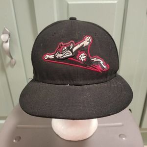 Richmond Flying Squirrels MiLB Minor League Baseball New Era Snapback Hat Cap‎